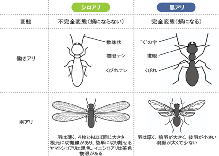 4月~７月はご用心！！