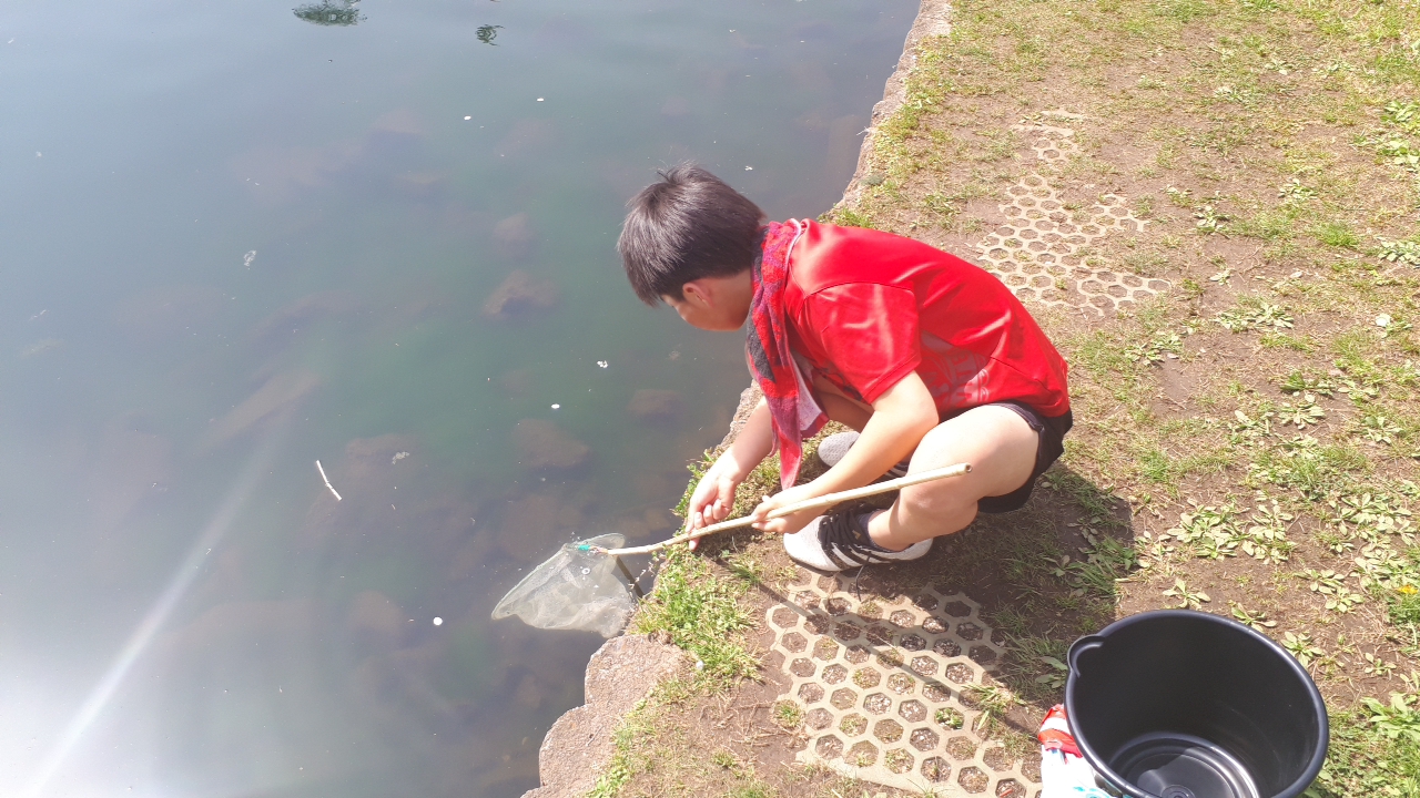 水辺の生物