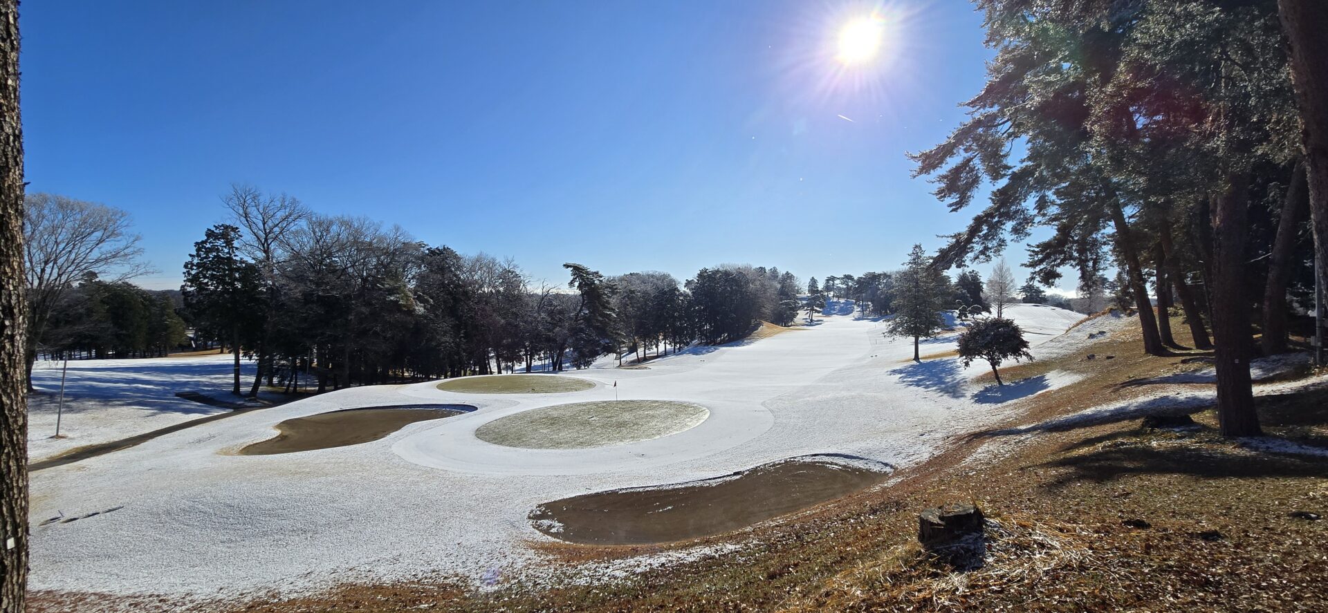新年のご挨拶２０２６