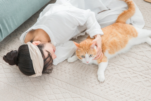 【ペットと暮らす初めての家づくり】後悔しない理想の住まいを叶える完全ロードマップ